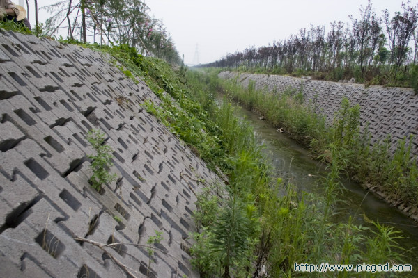 生態(tài)護坡