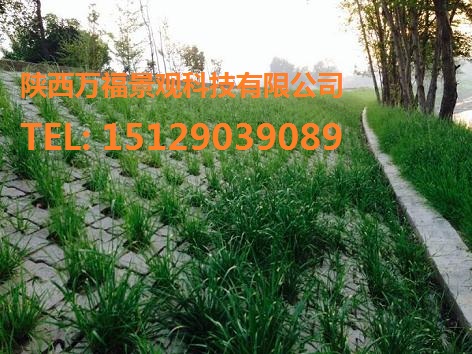 漢陰月河生態(tài)護(hù)坡案例