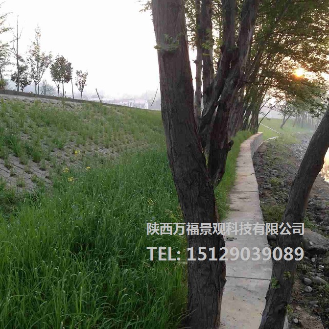 自嵌式景觀擋土墻