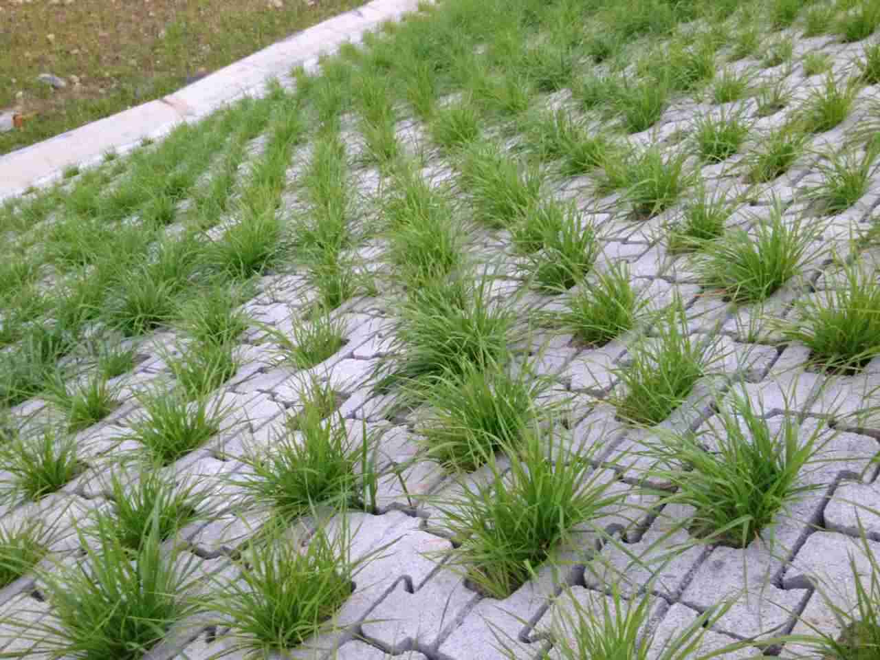 聯(lián)心式生態(tài)護(hù)坡