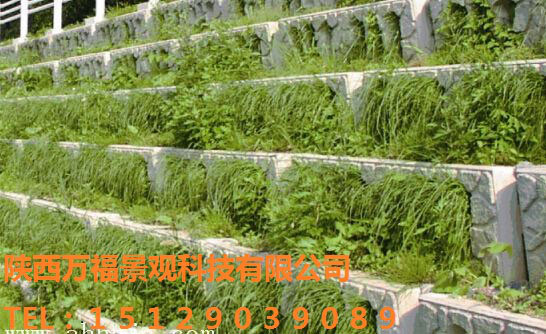 生態(tài)護坡和生態(tài)擋墻磚在4大常用水生態(tài)環(huán)境質(zhì)量